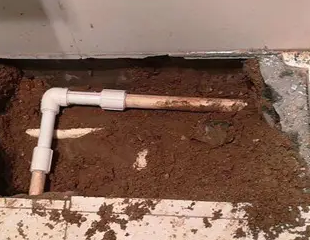 东胜测漏水哪家好