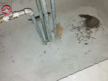 东胜卫生间测漏水价格明细