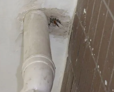 东胜漏水检测哪家好